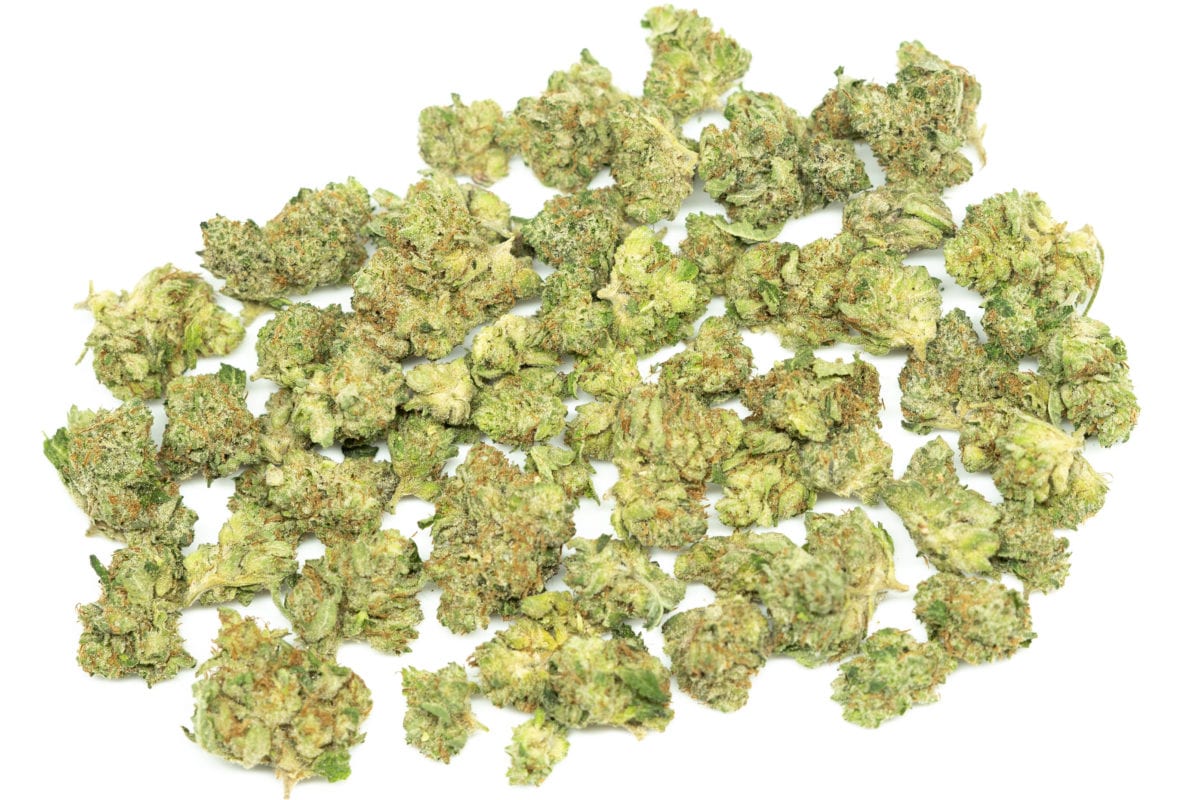 shark small nug 22 of 1