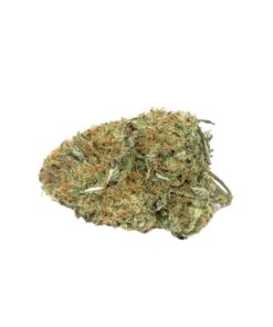 Gorilla Glue
