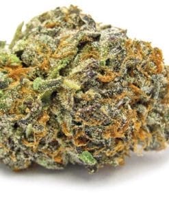 Cookie Dough