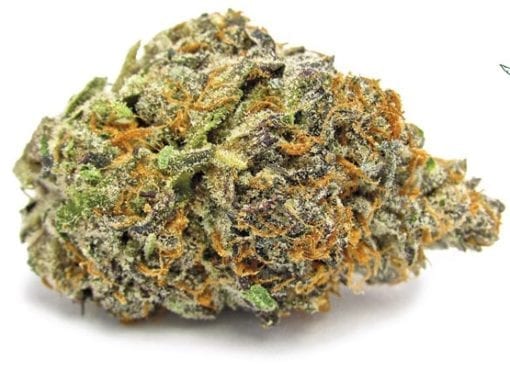 Cookie Dough