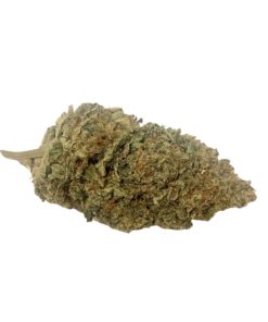ACDC (High In CBD)