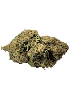 AA Wasabi (Small Nug - Sungrown)