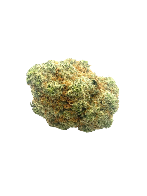 Donkey Budder