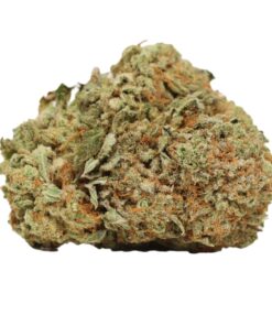 Hindu Kush (Bulk)