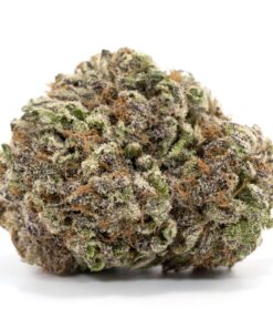 Mendocino Purps (Bulk)