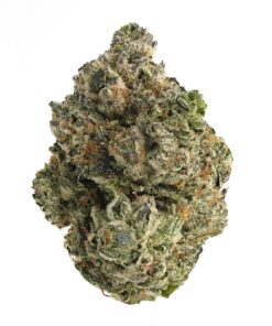 El Muerte (Bulk)