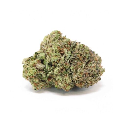 Northern Lights (Bulk)