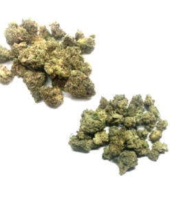 Sunset Sherbet (Small Nugs) + Purple Kush (Small Nugs) Combo QP