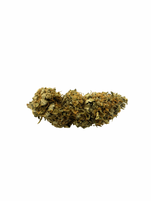 AA Agent Orange