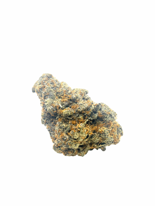 Truffle Pig