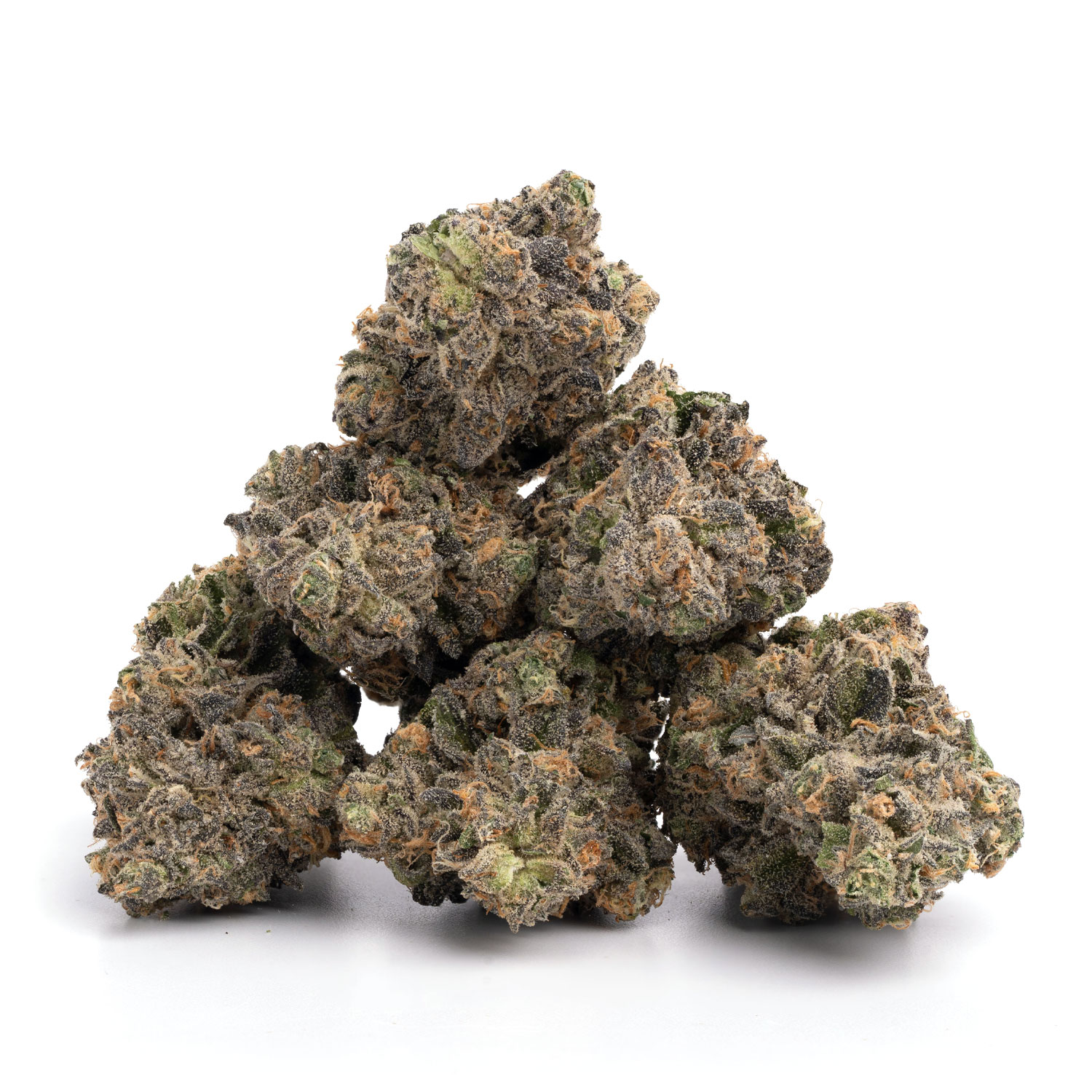 Gary Payton (Small Nugs)